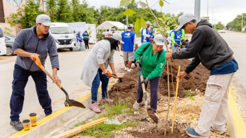 Tulum refuerza su compromiso ambiental con la tercera etapa de arborización