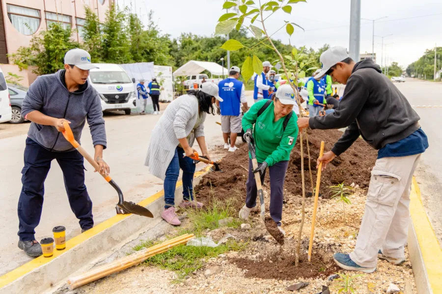 Tulum refuerza su compromiso ambiental con la tercera etapa de arborización