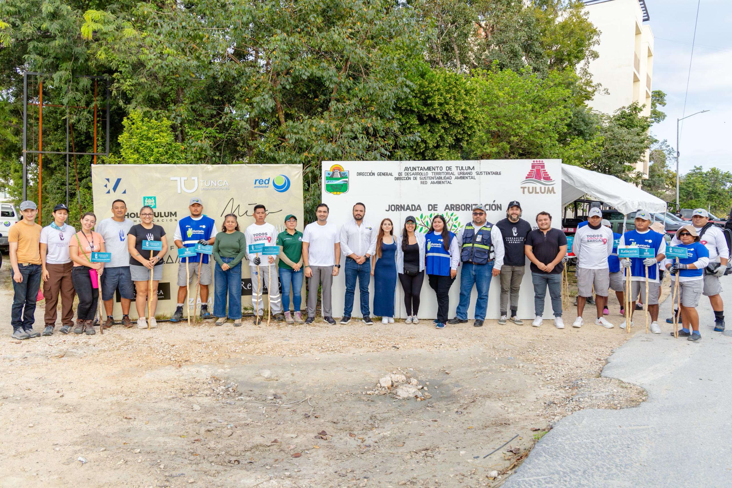 Culmina arborización en avenida La Selva de Tulum