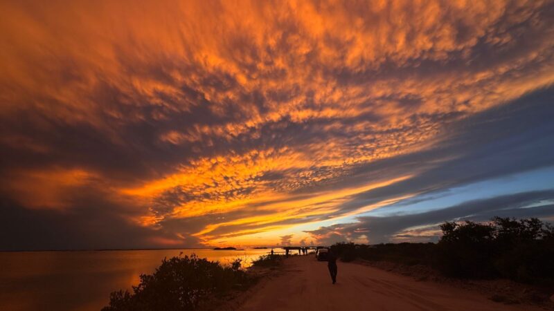 El Río Lagartos Photo Fest 2025 capturó la belleza natural de Yucatán en imágenes excepcionales