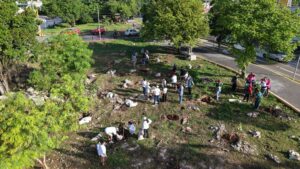 Quintana Roo avanza en inventario de más de 500 mil árboles.