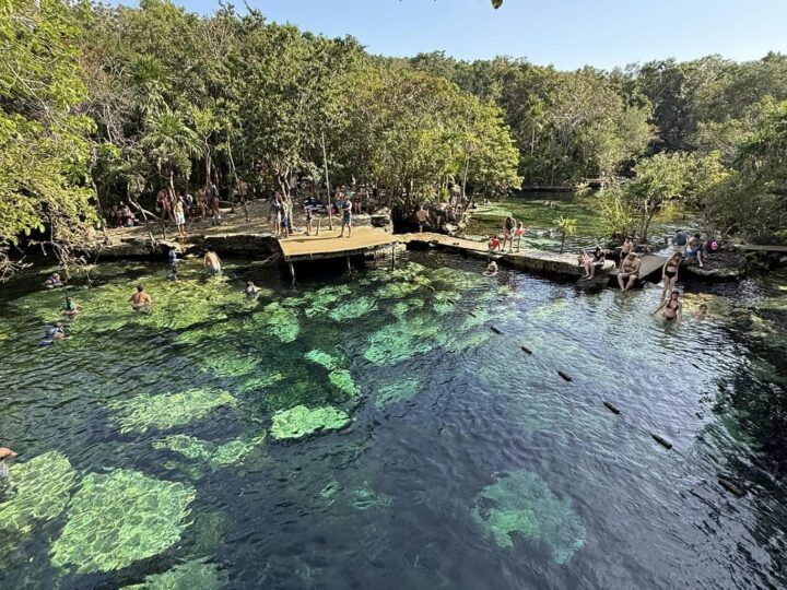 Detectan altos niveles de contaminación en cenotes y cuerpos de agua de Playa del Carmen.