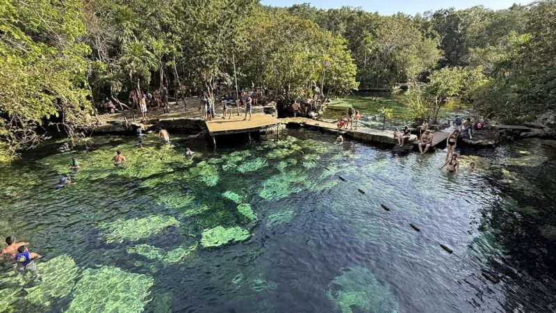 Detectan altos niveles de contaminación en cenotes y cuerpos de agua de Playa del Carmen.