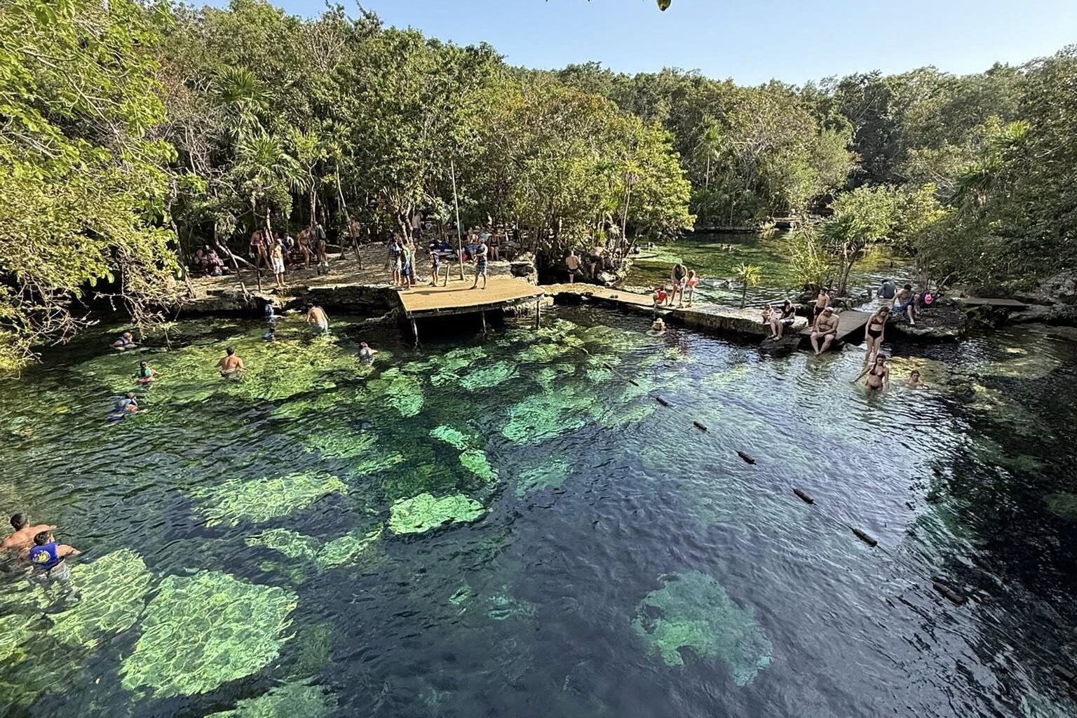 Detectan altos niveles de contaminación en cenotes y cuerpos de agua de Playa del Carmen.