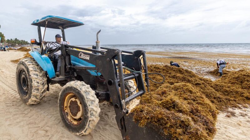 Convoca a la sociedad de Playa del Carmen a sumarse al “Reto Sargazo 2026”