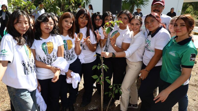 Buscan sembrar 11 mil árboles en Cancún para el 2027.