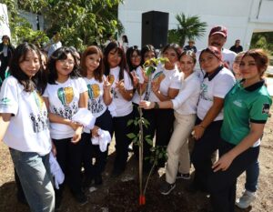Buscan sembrar 11 mil árboles en Cancún para el 2027.